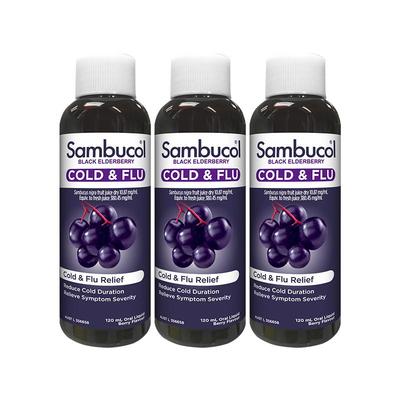 澳洲免疫力接骨木莓SAMBUCOL