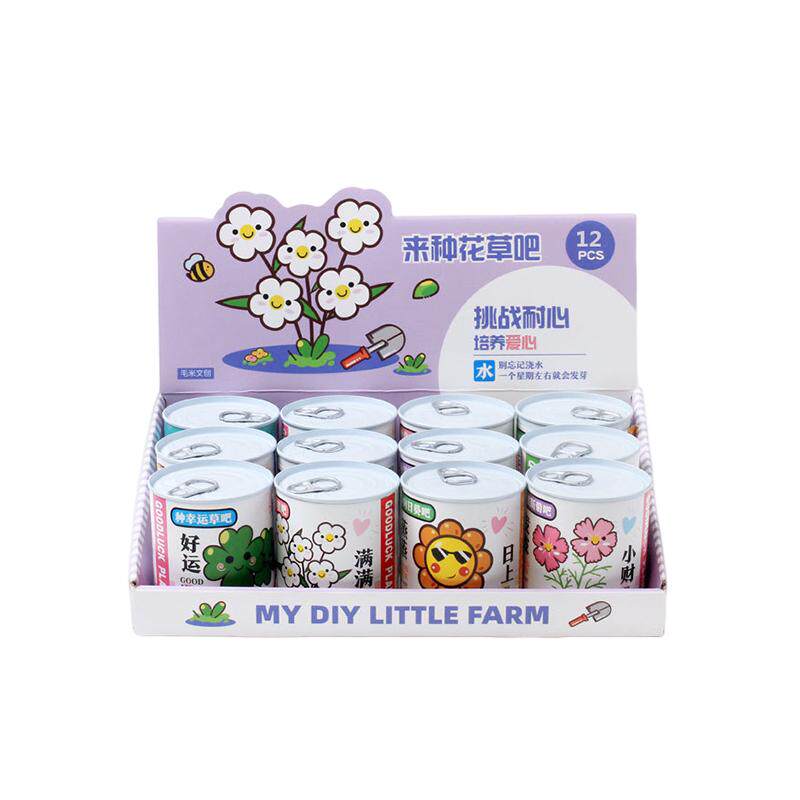 种植小盆栽幼儿园全班分享小礼物