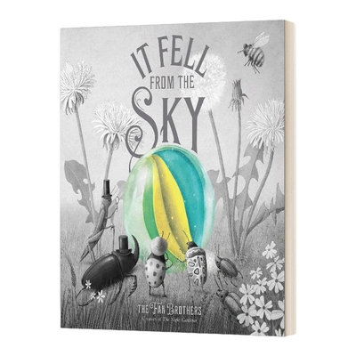 精装 英文原版 It Fell From The Sky 范氏兄弟 来自天空的你 英文版 进口英语原版书籍 英语小说