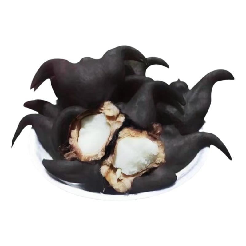 洪湖品种菱角老菱角量大优惠