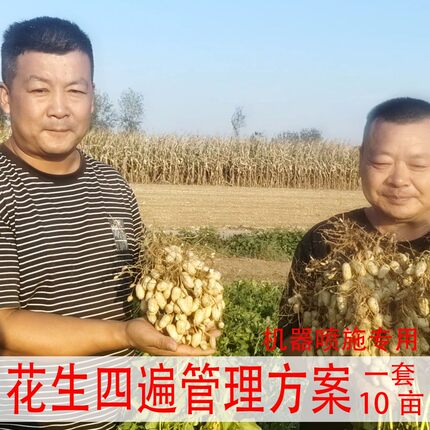 【李真农资】【十亩量大户专用】花生4遍管理方案水溶肥