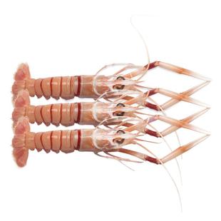 新西兰进口深海鳌虾刺身scampi斯干比南极特大小龙虾日料 1/2/3号