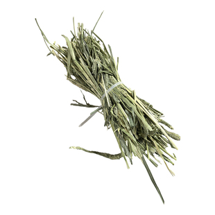 25年晒干提摩西草进口美提一番二压兔子干草龙猫豚鼠粮食扎捆提草