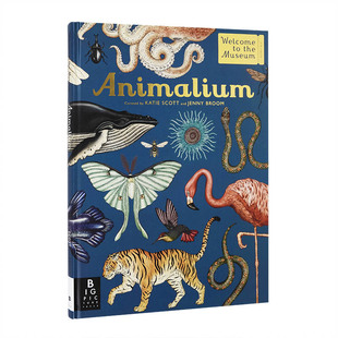 【欢迎来到博物馆系列】动物馆Animalium 真菌/植物/天文/恐龙/海洋/蘑菇(可单拍) 精装大开本插图精美科普读物 英文原版