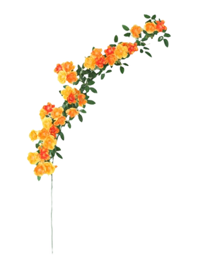 网红花墙招牌造景绝绝子