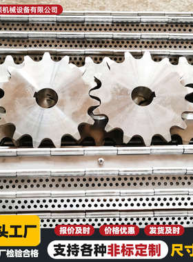 304不锈钢链轮单排双排传动链轮4分08B6分10A12A工业机械链轮齿轮