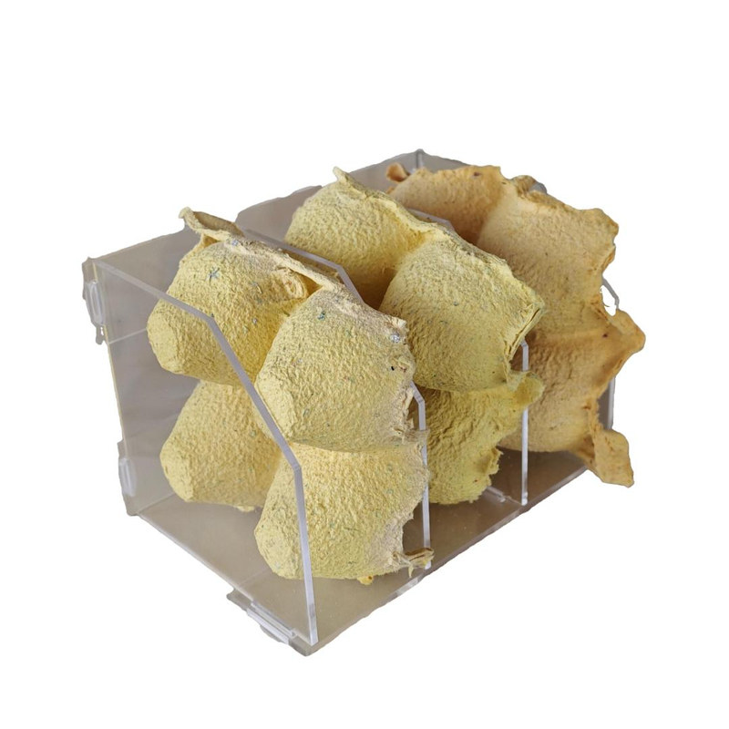 川傲蛋托架昆虫躲避窝