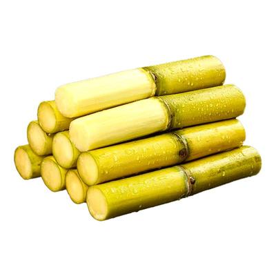 云南黄金甘蔗正宗现砍新鲜水果当季特产黄皮黄金黑皮果蔗手撕水果