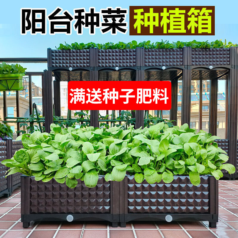 家庭阳台菜园塑料长方形花盆大号蔬菜种植箱屋顶庭院露台种菜神器 鲜花速递/花卉仿真/绿植园艺 花盆 原图主图