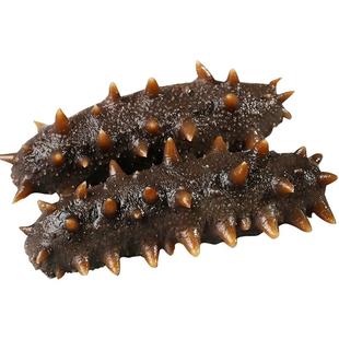 康悦堂大连辽参即食海参鲜食海参礼盒辽刺参开袋即食独立包装送礼