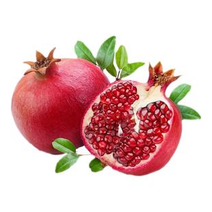 特大石榴树苗突尼斯软籽无籽带果苗庭院盆栽当年结果南北方种植