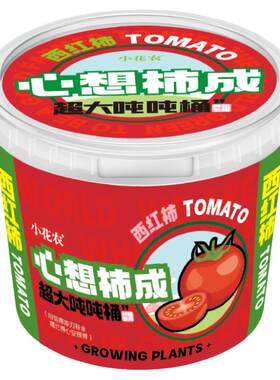 小花农超大吨吨桶四季可种好养活