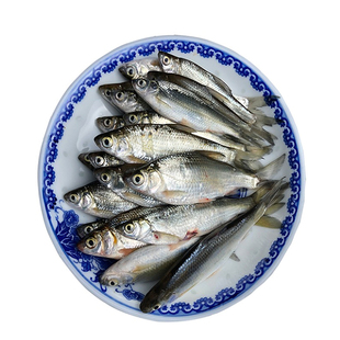 微山湖生态小白条鱼柳叶餐鱼小杂鱼新鲜营养美味江浙沪皖4斤包邮