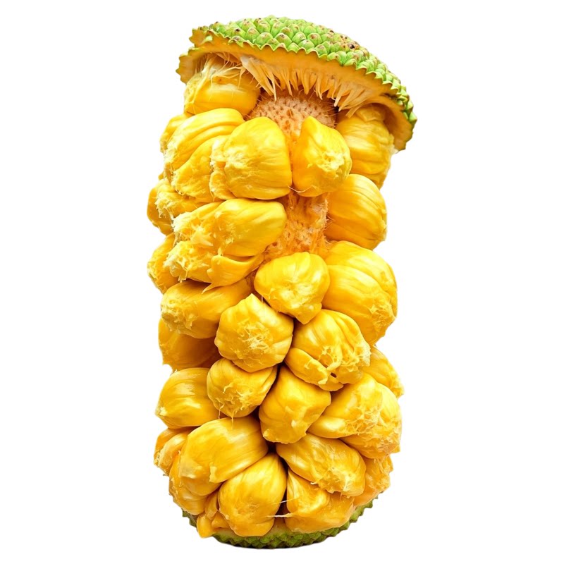 【海南榴莲菠萝蜜】已上热销榜!