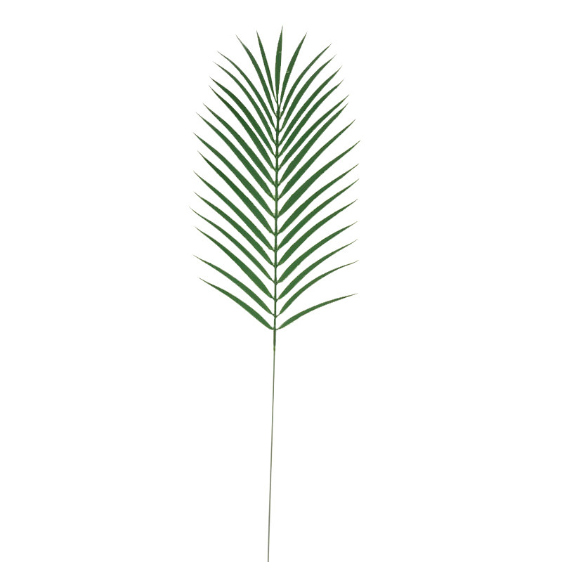 片装特惠散尾葵铁树叶气球插花