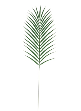 片装特惠散尾葵铁树叶气球插花