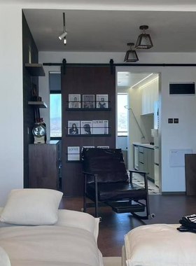 书架谷仓门玻璃门推拉门厨房卫生间移门书房衣帽间隔断仓谷门吊滑