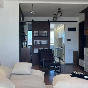 书架谷仓门玻璃门推拉门厨房卫生间移门书房衣帽间隔断仓谷门吊滑