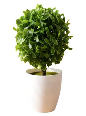 仿真花绿植尤加利叶假花塑料花小盆栽客厅摆设装饰花餐桌室内摆件