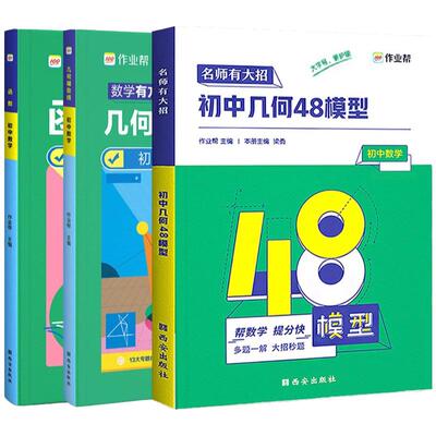 几何48模型+几何辅助线+函数