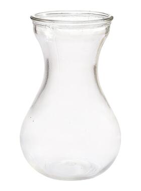 玻璃花瓶透明风信子t鱼缸圆形