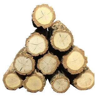 原木木桩水草鱼缸造景天然香槟黄栎木树墩爬宠晒台底座氛围墩子