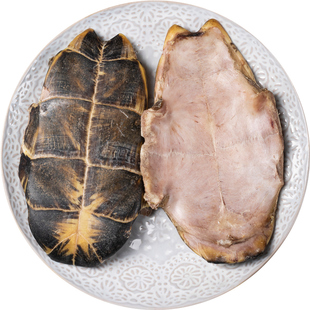 龟板中药材500g/250克正品生龟板腹甲腹板乌龟底板下甲生晒大龟板