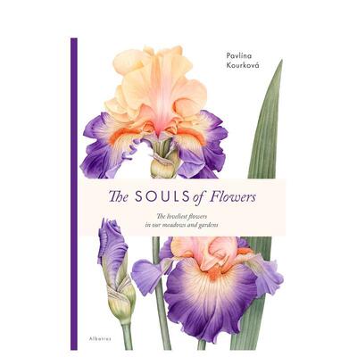 【预售】花卉的灵魂 植物插画集英文插画原画设定集进口原版书The Souls of Flowers精装Pavlina Kourkova著Albatros Media出版