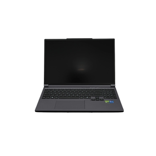 机械革命极光X潮玩版 300Hz高刷灰色14代i7HX RTX5060游戏本电脑