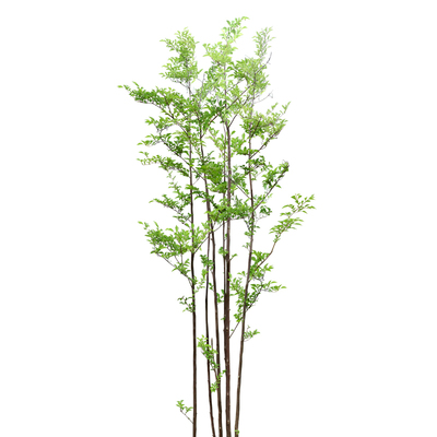 Lumion景观场景10版本原创动态植物年费素材扩展库CSJ