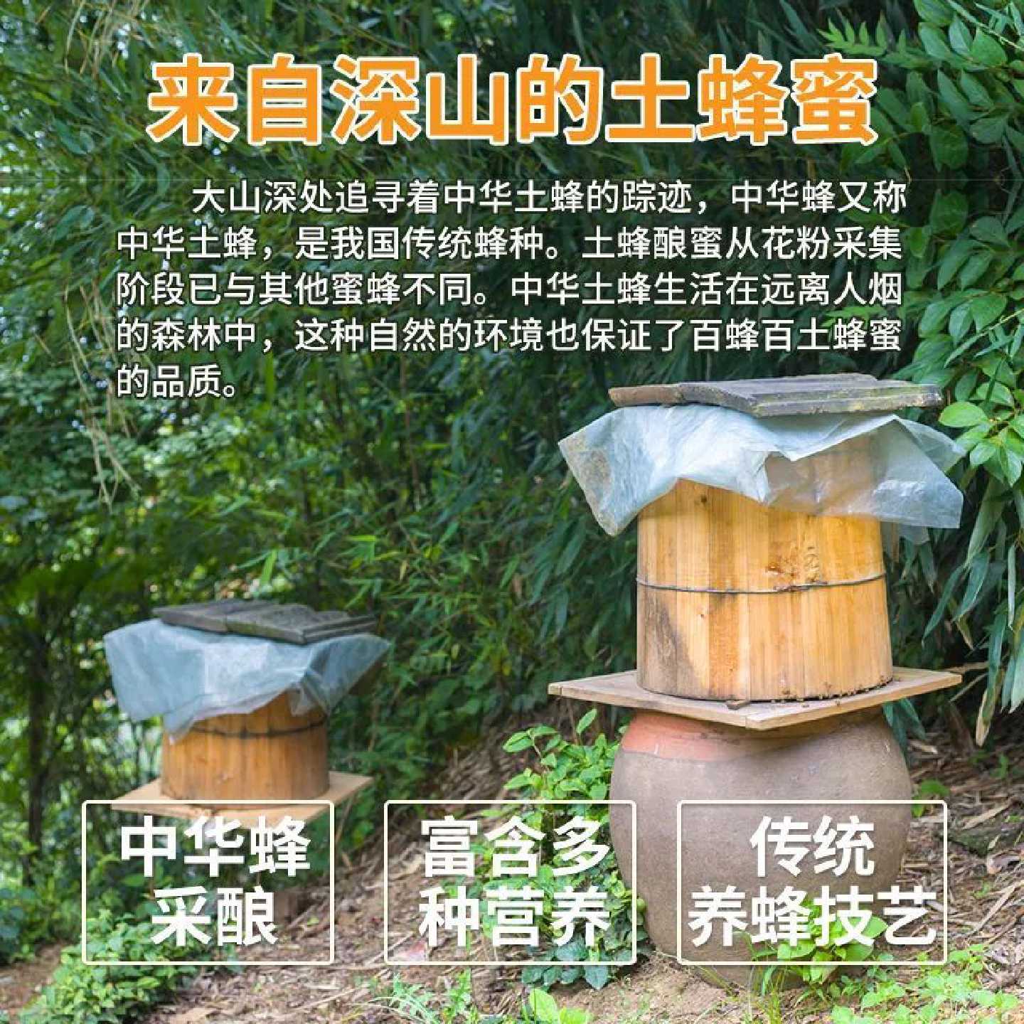 天然深山百花蜂蜜自产正品正宗木桶蜂巢纯正农家野生1000批发新鲜