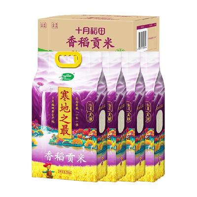 十月稻田香稻贡米10kg×2箱