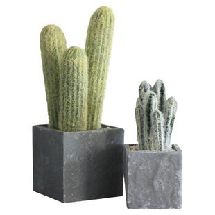 创意北欧ins多肉仙人掌仿真植物盆栽摆件假绿植室内家居装饰摆设