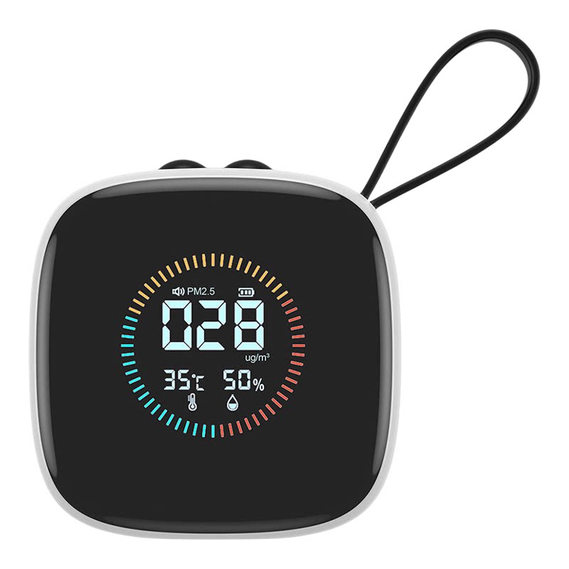 PM2.5雾霾检测仪气体分析仪
