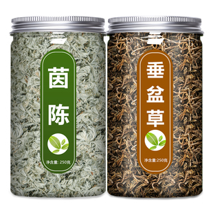 茵陈垂盆草中药材正品官方旗舰店野生新鲜药用水泡茶的功效与作用