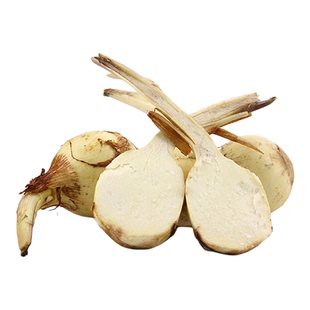 云南新鲜茨菇现挖白慈姑茨菰马蹄荸荠燕尾草地栗芽菇特产蔬菜包邮