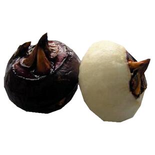 马蹄即食新鲜水果现摘现发粤北韶关始兴特产正宗顿岗大果 5斤包邮