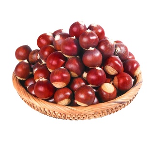 顺丰包邮现摘建瓯锥栗高山板栗新鲜生油栗锥形圆栗农家野生毛栗子