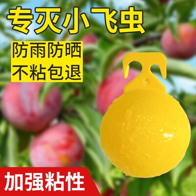 诱蝇球果树防虫柑橘大小船长花园诱捕器诱粘剂引诱剂厨房小飞虫板