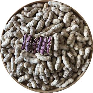 2025新正宗福建龙岩连城四粒红紫衣花生红衣咸水煮晒干湿烤五香脆