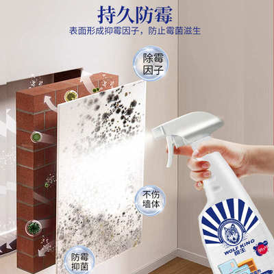 除霉剂去霉斑霉菌墙体洗衣机胶圈冰箱胶条瓷砖卫生间清洁剂清除剂