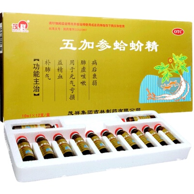 【老人乐】五加参蛤蚧精10ml*12支/盒五加参蛤蚧精肺虚咳嗽补肺气咳嗽元气亏损