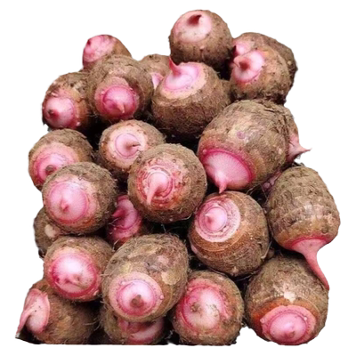 【基地直采】现挖现发金华红芽芋