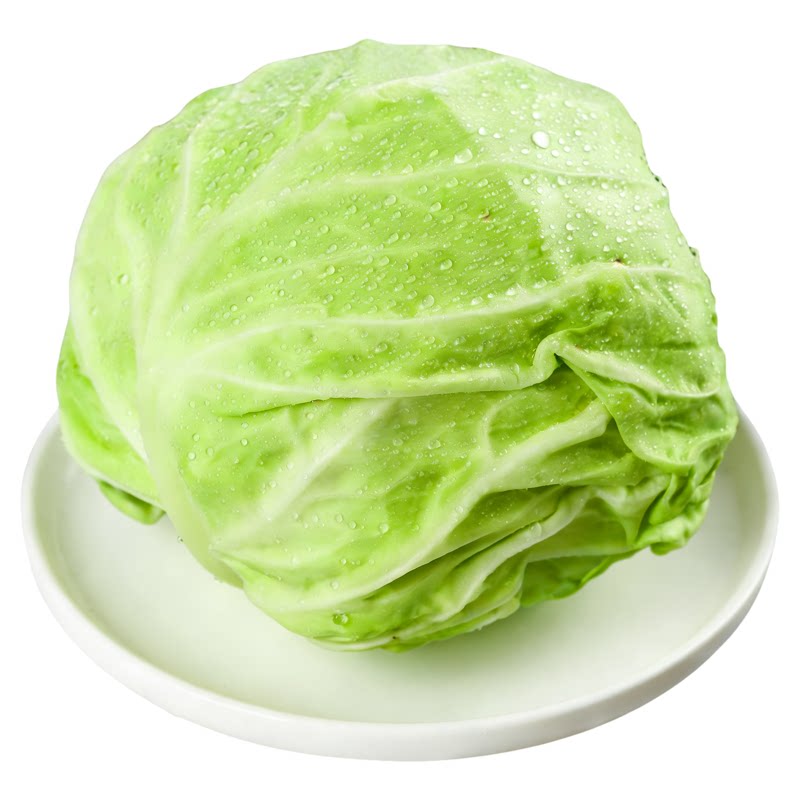 燎原绿色甘蓝包菜卷心菜 新鲜蔬菜宝宝孕妇营养辅食 2斤包邮
