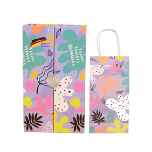 施耐德双笔尖一笔多用学生练字 钢笔签字笔 美丽无限生长礼盒钢笔