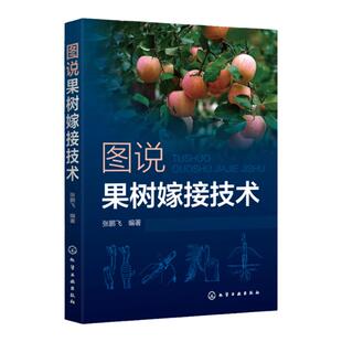 图说果树嫁接技术 苹果梨葡萄核桃枣桃樱桃柿等常见种果树嫁接技术书籍 果树的砧木接穗嫁接工具果树嫁接方法 果树栽培种植技术书