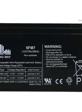 LONGWAY龙威6v12v电瓶童车蓄电池