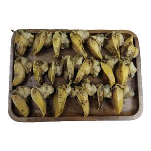 大连特产假鲍鱼甲鲍鱼黏螺新鲜纯肉蛾螺海蜗牛老婆脚大冷冻鲍螺肉
