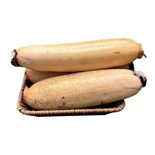 洪湖精品中断粉藕特产莲藕新鲜煲汤炖汤正宗九孔湖北红现挖旗舰店