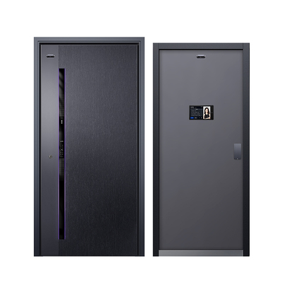 亚太天能一体化装甲智能门M6pro